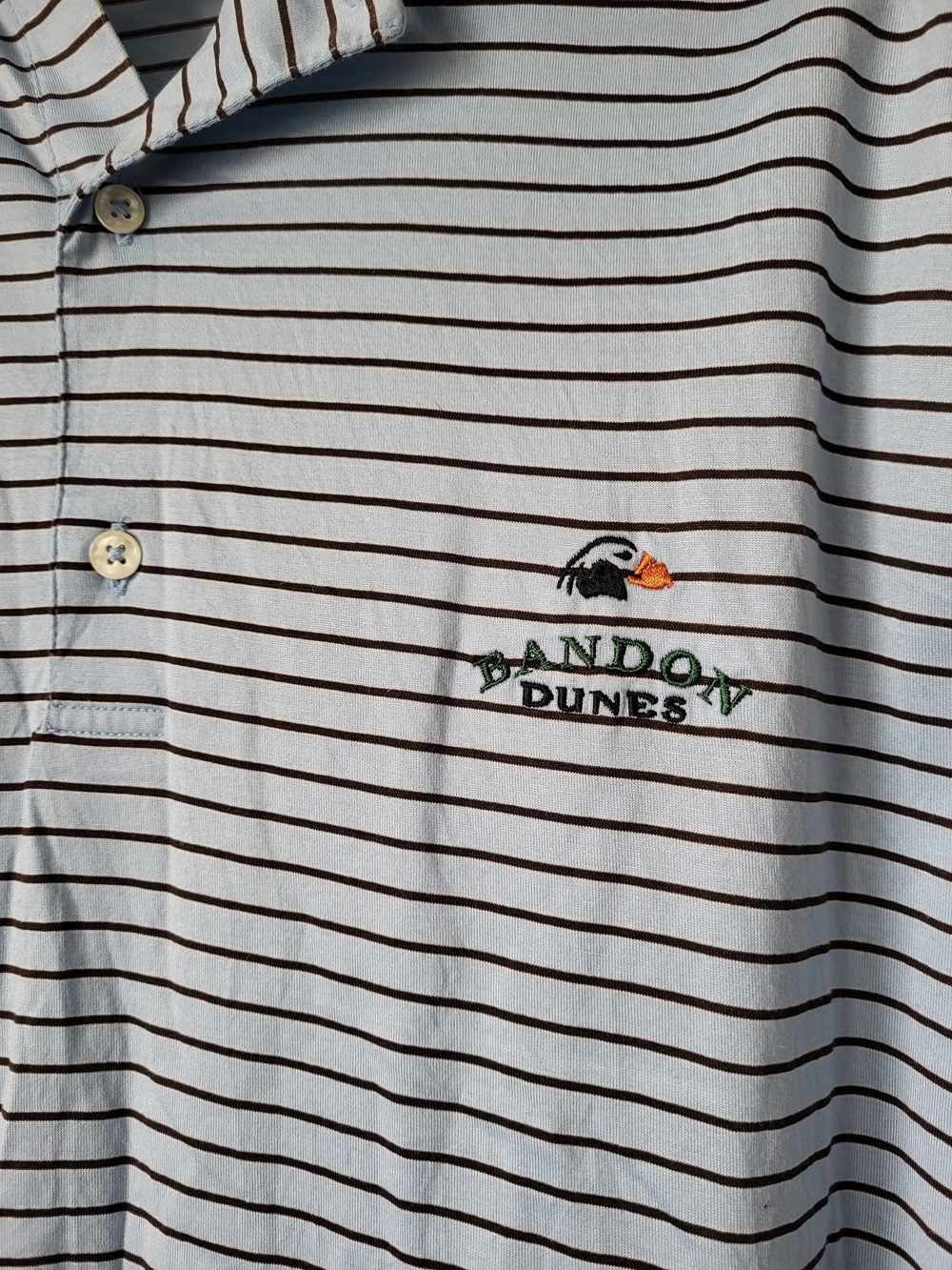 Fairway & Greene Light Blue Polo with Brown Stripes Bandon Dunes XL